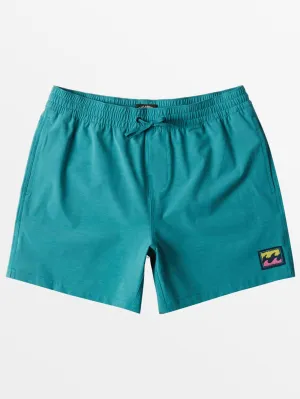 Every Other Day Layback 16'' Boardshort