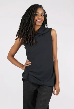 Virginia Top, Coal